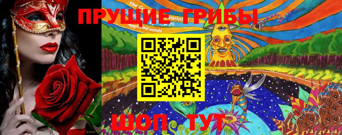 Псилоцибиновые грибы Cubensis Екатеринбург