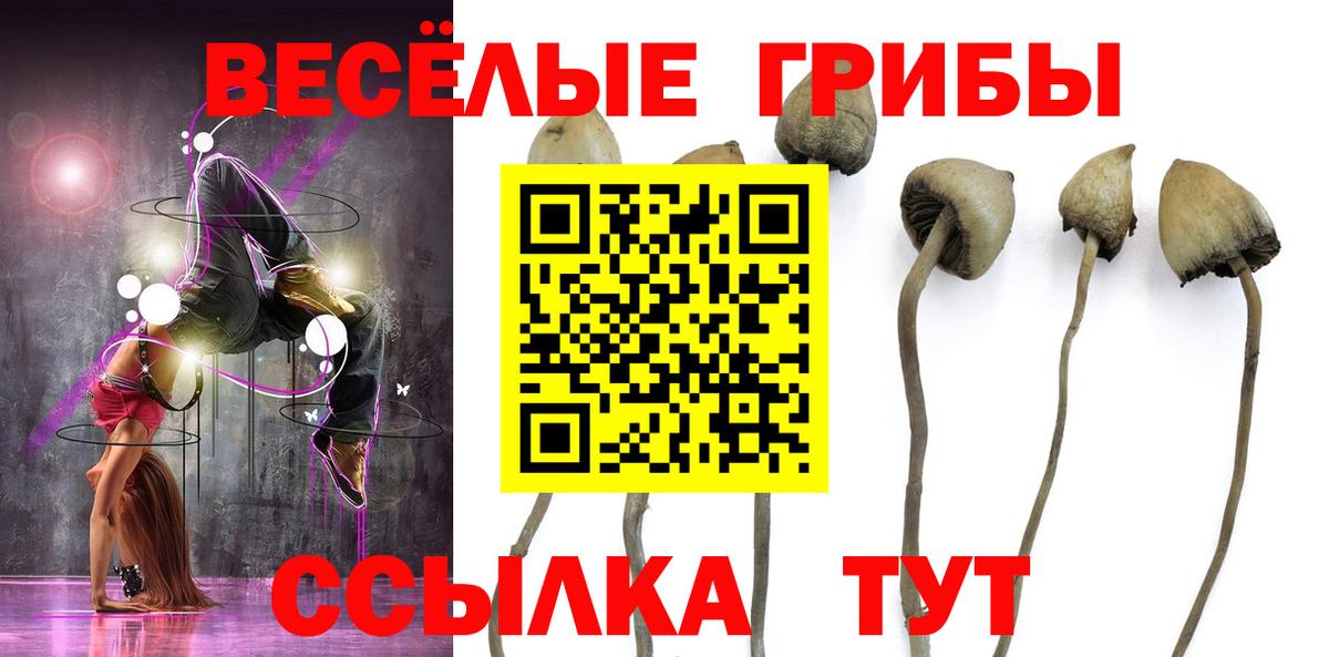 Екатеринбург  Галлюциногенные грибы мицелий  Вход с VPN  Галлюциногенные грибы прущие грибы 